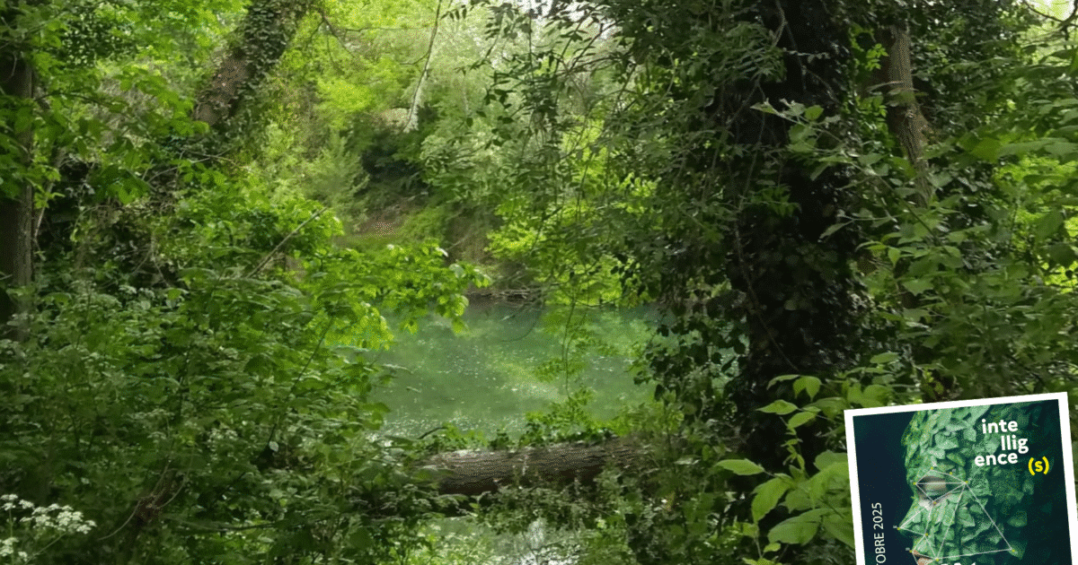 Fête de la nature 2025